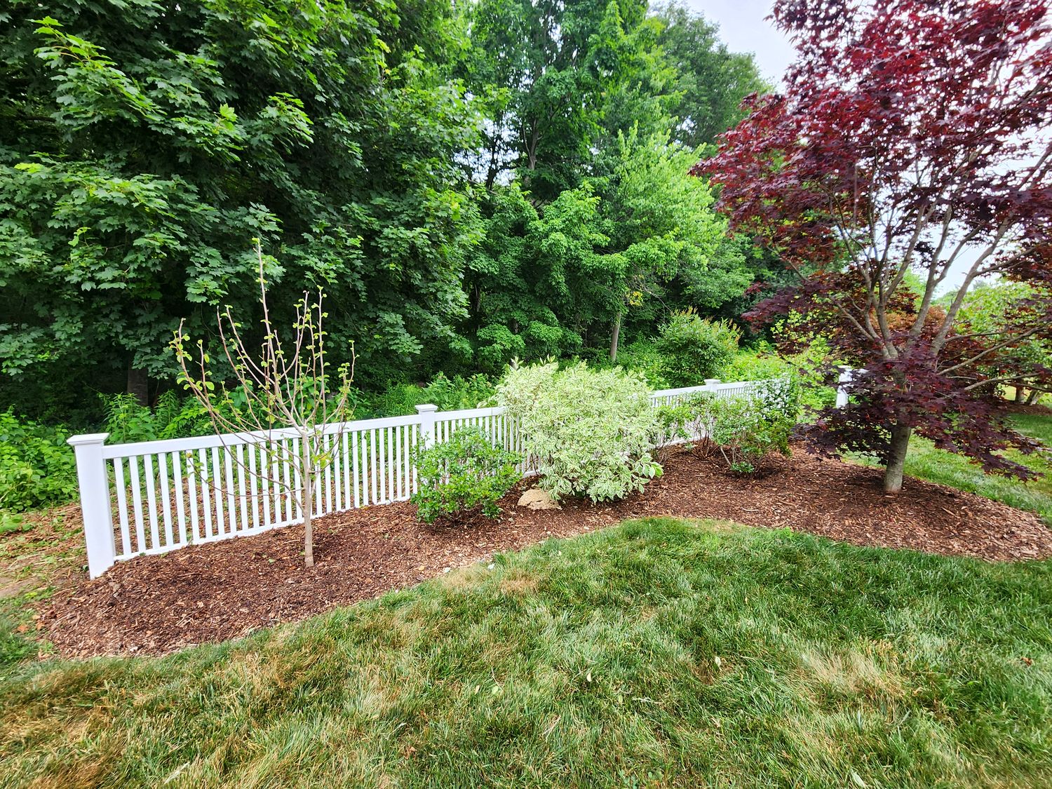 Cleared fence line with a new bed