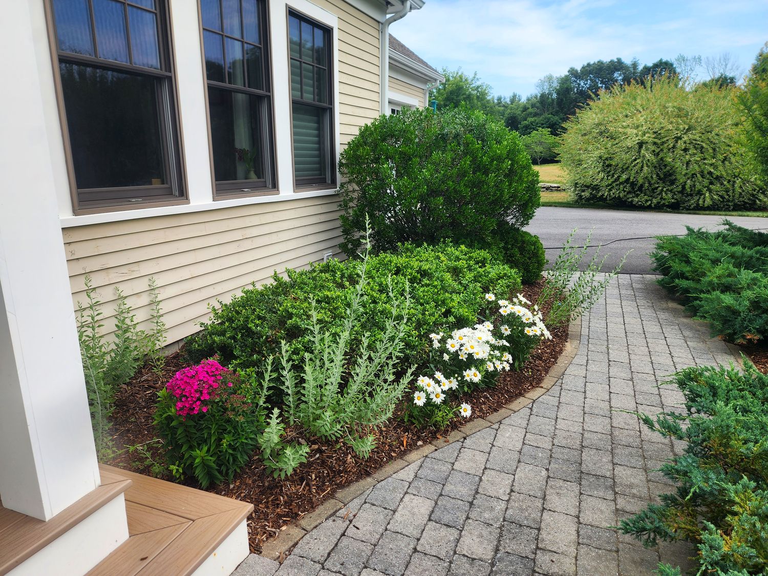 A front-walk foundation bed beside a paver path